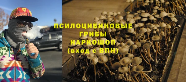 прущая мука Аркадак