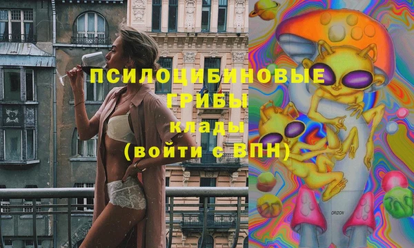 герыч Алексин